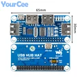 USB HUB HAT