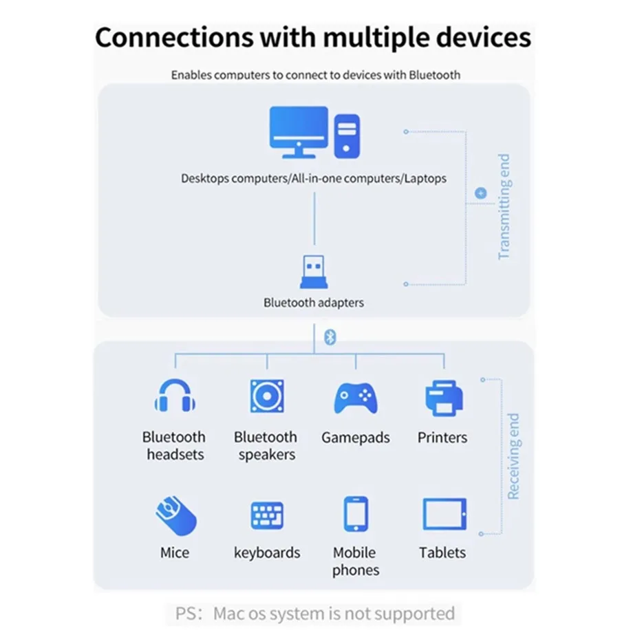 Receptor - Vista trasera