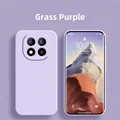 Grass Purple