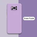 Grass Purple