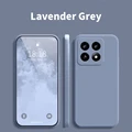 Lavender Grey