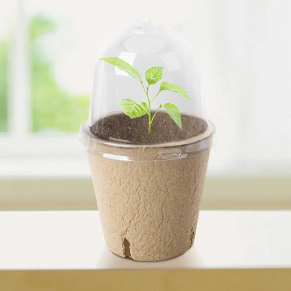 Taza de plántulas con tapa transparente, caja de cría de invernadero, taza de cultivo de plantas biodegradable, versátil para jardinería, 10 Uds. - imagen 2