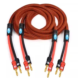 Cable Banana Altavoz Chapado Oro – Alta Fidelidad para Home Cinema