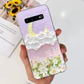 case-c74