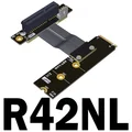 R42NL