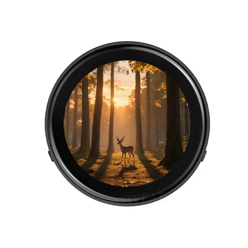 Placa de desarrollo ESP32 C6, pantalla AMOLED QSPI de 1,43 pulgadas, pantalla táctil de 1,43 pulgadas, micrófono Dual AudioI Deepseek N16R8 - imagen 2