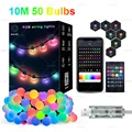 10M 50 bulbs
