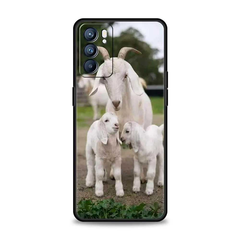 Funda de teléfono para Oppo Reno13 Reno12 Reno11 F Reno10 Pro A54 A53 A95 A76 A74 A57 A98 A80 A79 5G A78 4G cubierta de dibujos animados lindo cabra - imagen 2