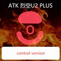 control version