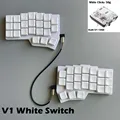 White  V1 White