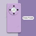 Grass Purple