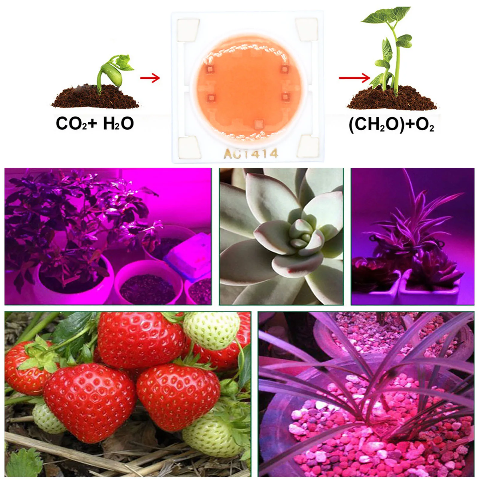 Lámpara LED COB de 5 piezas, Chip de espectro completo AC220V, 3W, 5W, 7W, 9W, 14mm, Base de cerámica para cultivo de plantas DIY