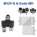 8P Y (1F-1M 1F)