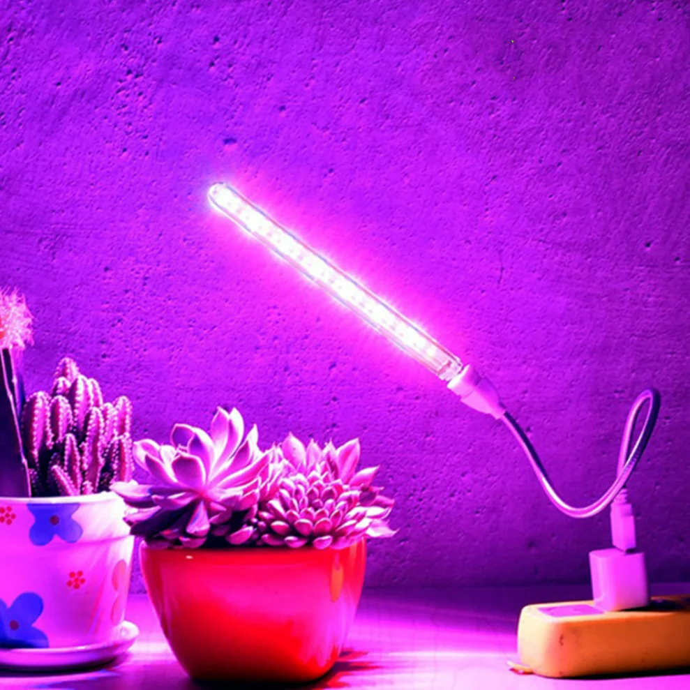 Iluminación Profesional