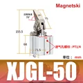 XJGL-50-Magnetski