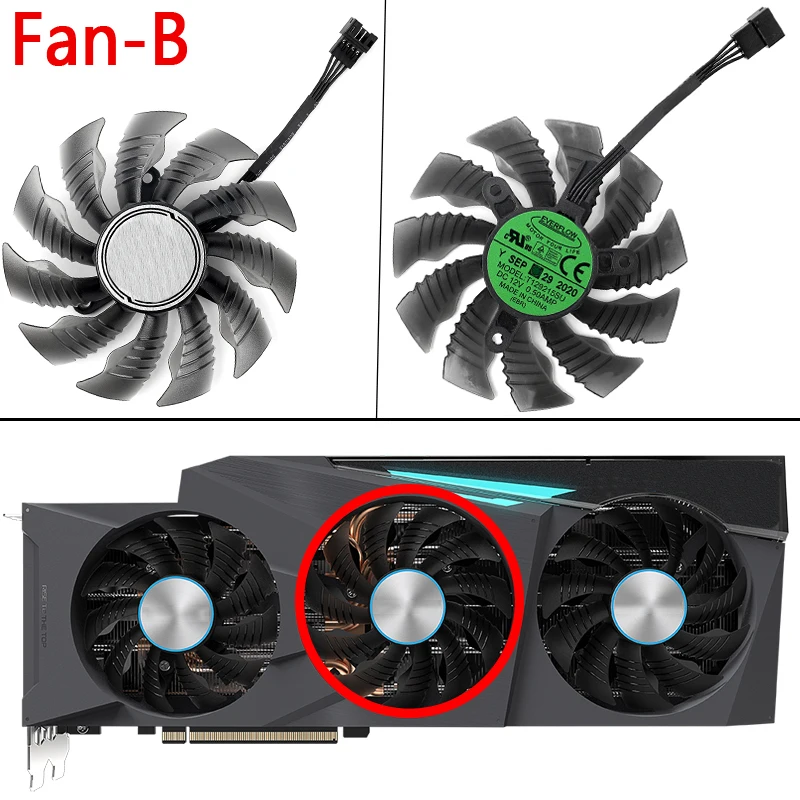 fan B