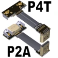 P2A-P4T