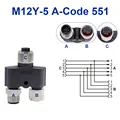 5P Y (1F-1M 1F)