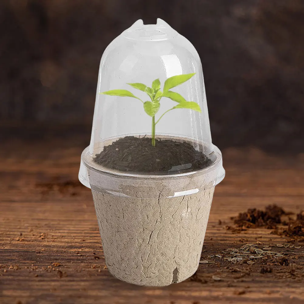 Taza de plántulas con tapa transparente, caja de cría de invernadero, taza de cultivo de plantas biodegradable, versátil para jardinería, 10 Uds. - imagen 4
