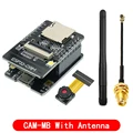 CAM-MB With Antenna