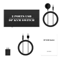 DP 2X1 KVM