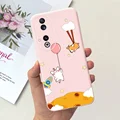 case-c43