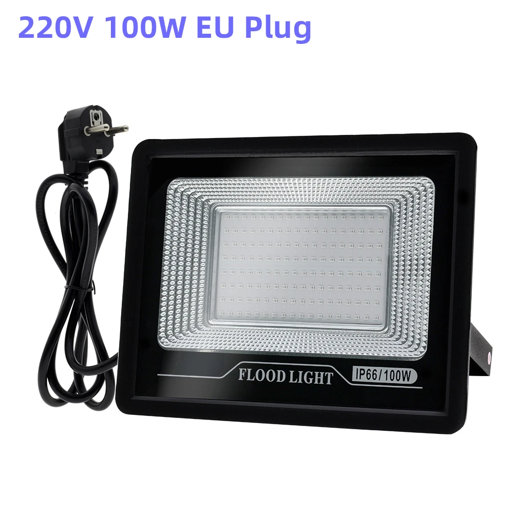 220V 100W EU Plug