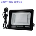 220V 100W EU Plug