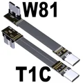 T1C-W81