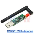 CC2531 White Antenna