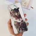 case-c20