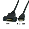 Mini HDMI