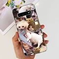 case-c34