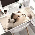 mouse pad
