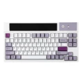 Purple White-ANSI