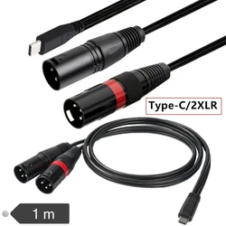 Cable USB-C Macho a Doble XLR Audio Estéreo