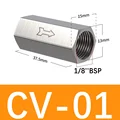 CV-01
