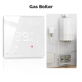 Gas Boiler WH