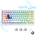 sk75TMR white