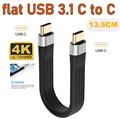 Flat USB 3.1 C to C