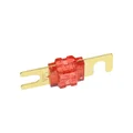 Forkbolt Fuses 80A