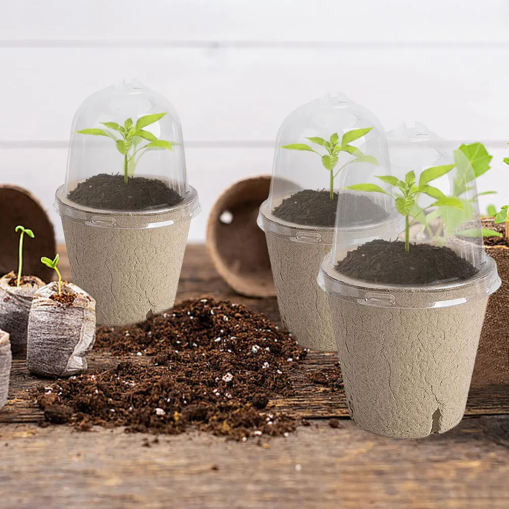 Taza de plántulas con tapa transparente, caja de cría de invernadero, taza de cultivo de plantas biodegradable, versátil para jardinería, 10 Uds. - imagen 5