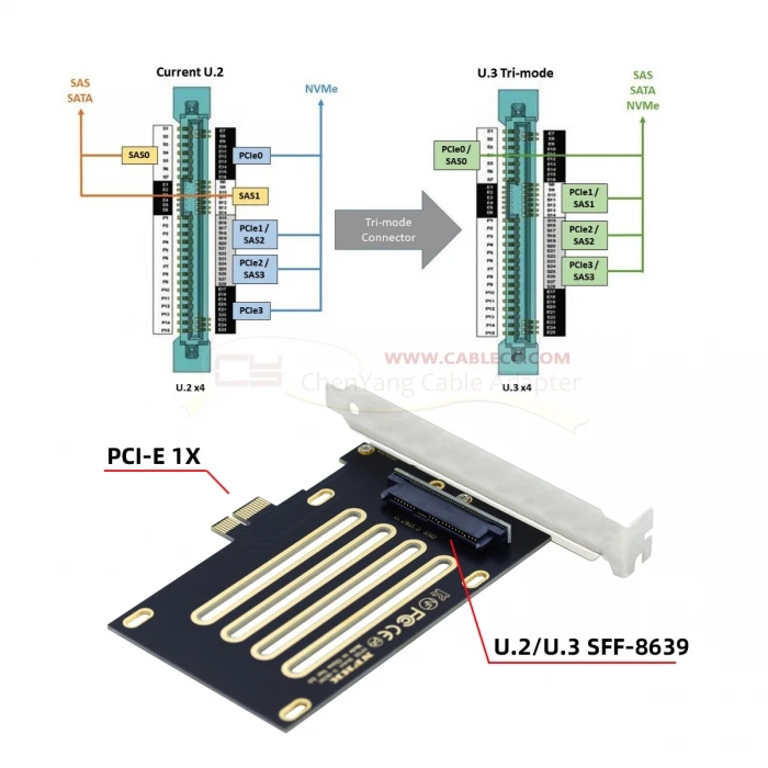 Un diagrama de una placa de circuito con una tarjeta PCI-E X1