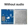 Without Audio