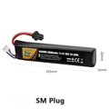 1 PCS SM PLUG