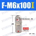 F-M6 X 100I