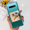 case-c40