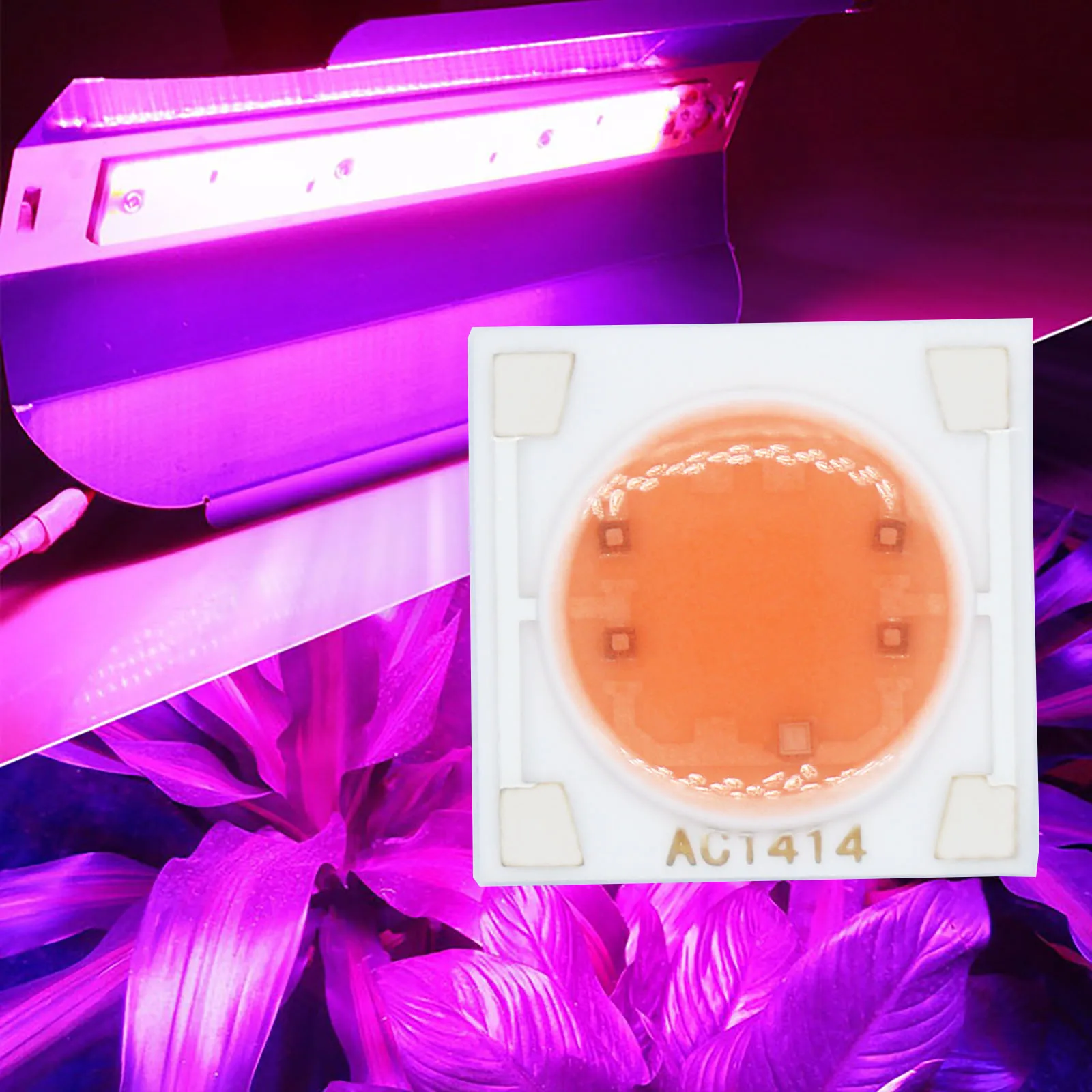 Lámpara LED COB de 5 piezas, Chip de espectro completo AC220V, 3W, 5W, 7W, 9W, 14mm, Base de cerámica para cultivo de plantas DIY - imagen 2