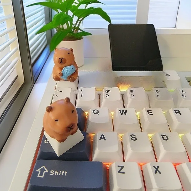 Sit and Hug fish set