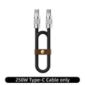 250W Type-C Cable